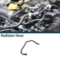 Radiator Hose Replacement for BMW 228i Base 2.0L (2014–2016)