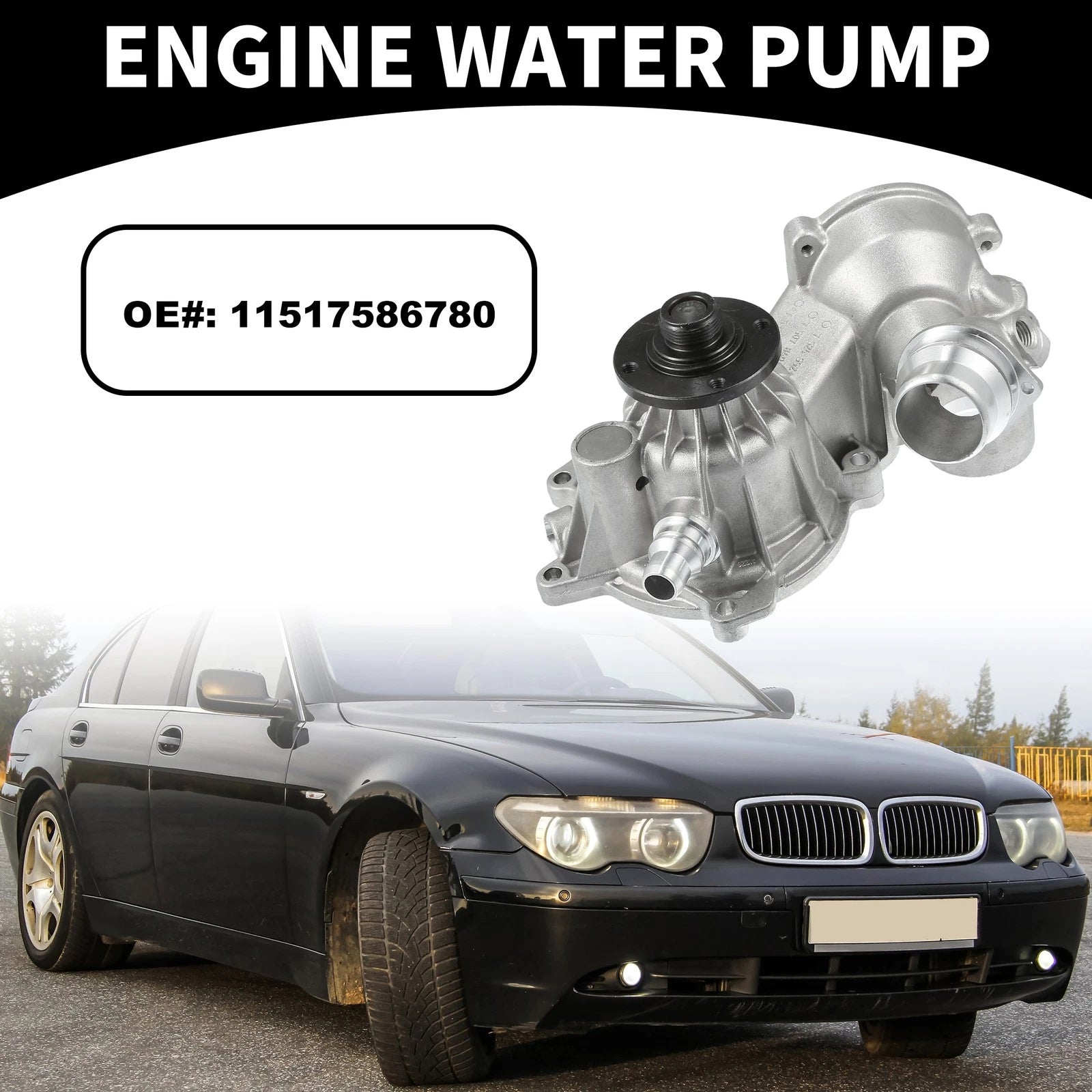 Water Pump Replacement for BMW 745i 745Li (2002–2003)