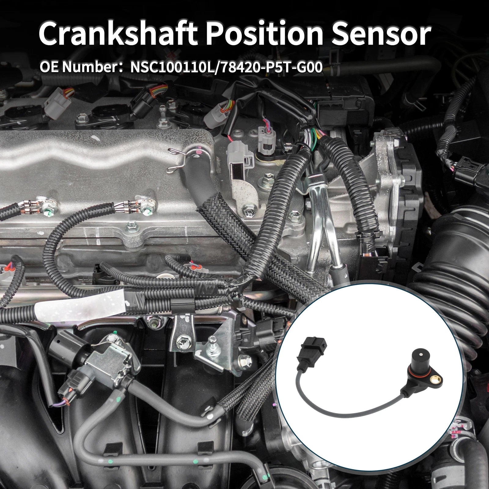 Crankshaft Position Sensor for Honda Accord 2.0 Turbo 99–02