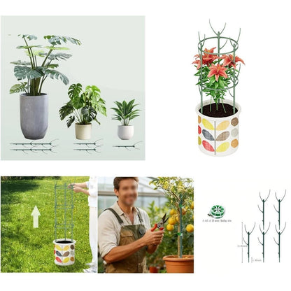Adjustable Height Climbing Plant Support for Monstera