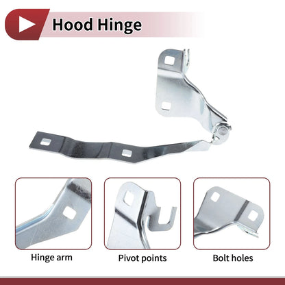 Hood Hinge for Ford Explorer (2020–2023) Right Side, 1 pcs