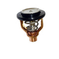 Thermostat Assy for Yamaha F300-F350HP (4 Stroke) (6AW-12411-00-00)