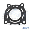 WSM Gasket for