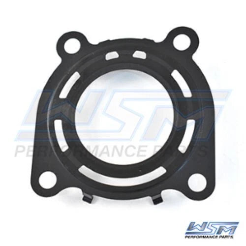 WSM Gasket for