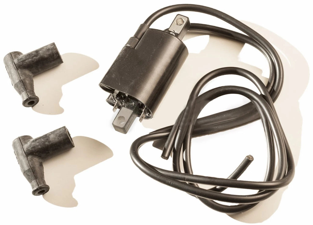 Ignition Coil Set of 2 for Sea Doo 787 800 GTX XP GSX SPX (1995–2002)