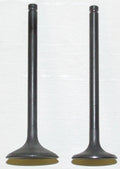 Engine Valve Kit for Kawasaki 200-300 (2000–2023) 017-101