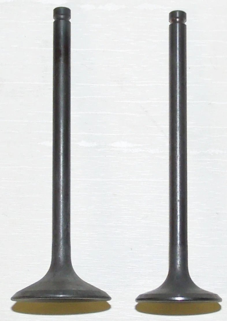 Engine Valve Kit for Kawasaki 200-300 (2000–2023) 017-101