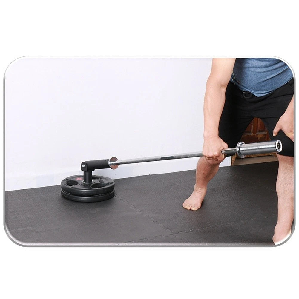 360 Rotating Weight Stand for Deadlift Row Core Back Home Gym