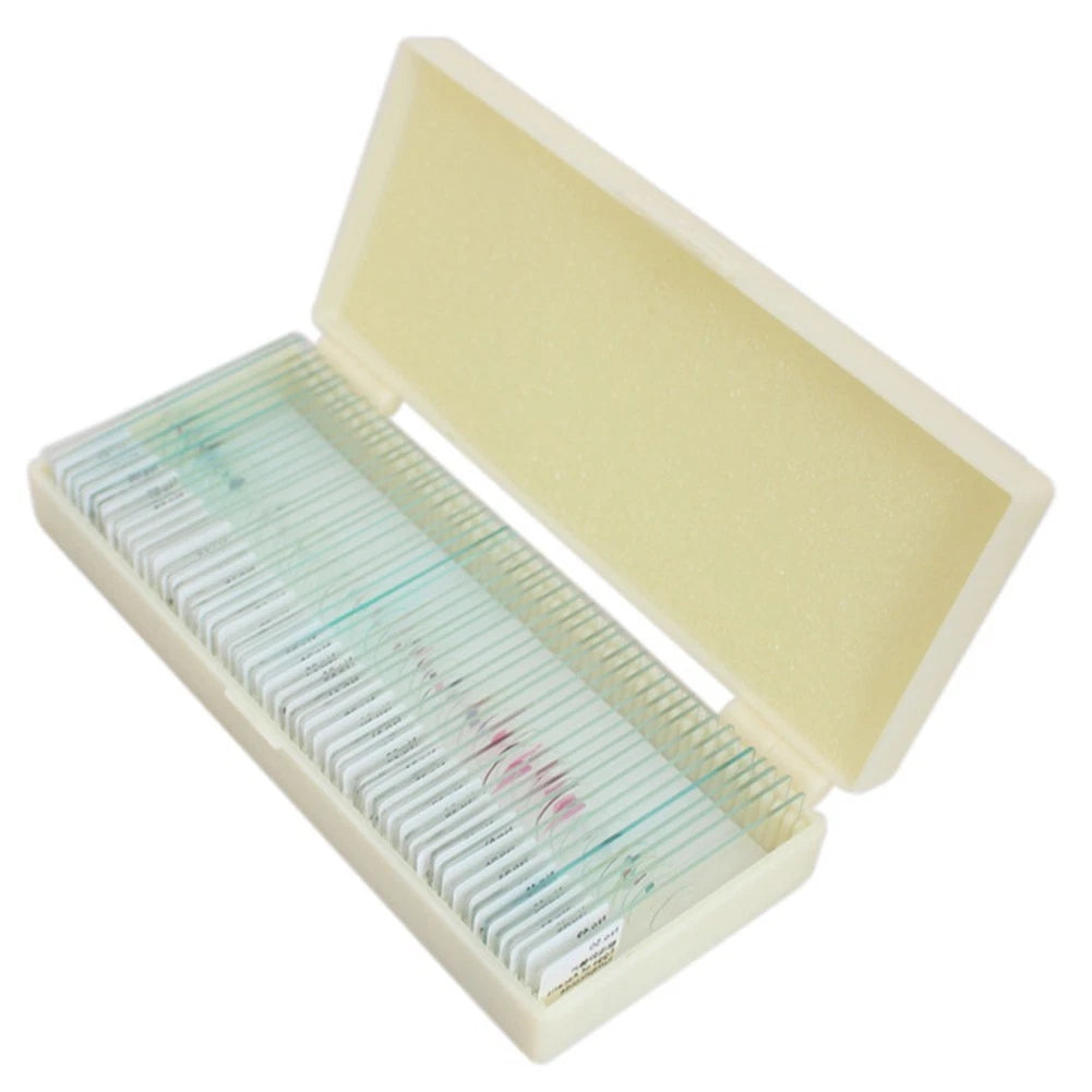 Kids Microscope Slide Set with Fungi, Plant, Insect Specimens (30 or 50)