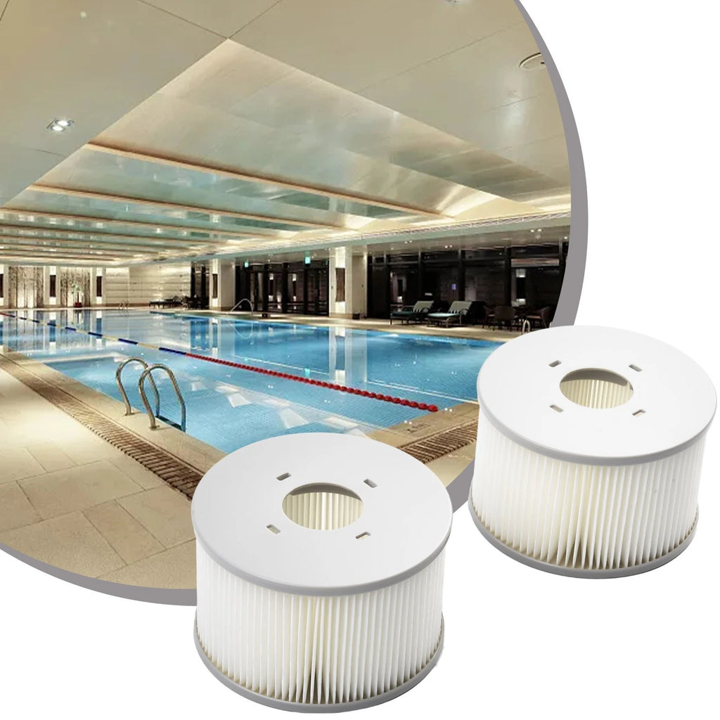 2X Tool Filter Cartridge for MSPA B0303499 (Remove Dirt)