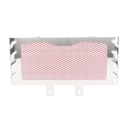 Radiator Grille Guard Cover for BMW R Nine T (2014–2018)
