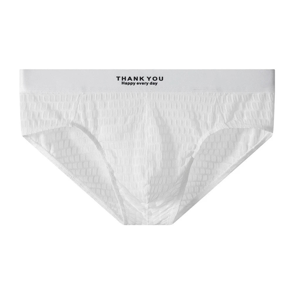 2X See Through Low Rise Mesh Briefs with U Pouch for Men