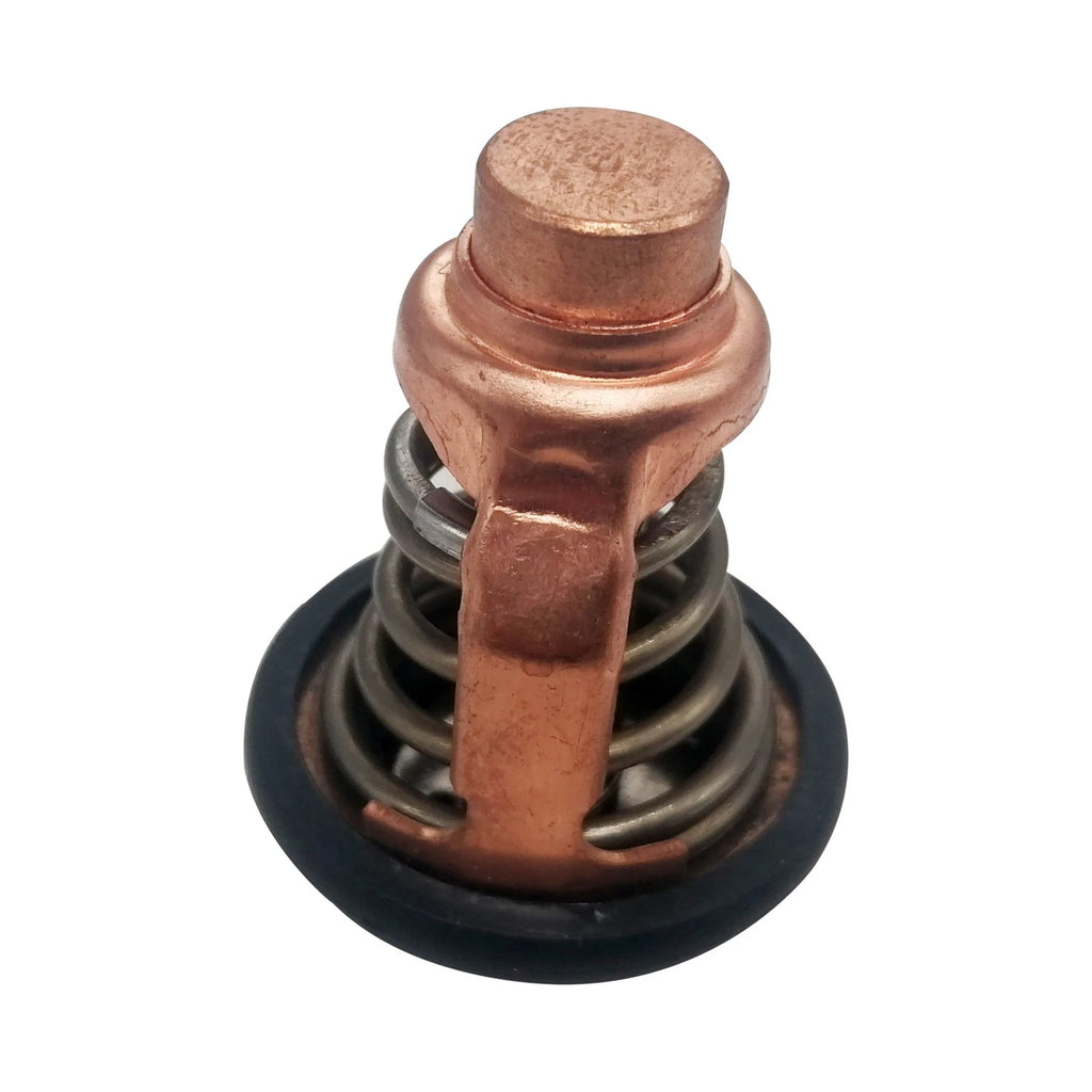 Thermostat 60°C 140°F for Yamaha F175A F175C LF175C VF175 (6DA-12411-01 18-3636)