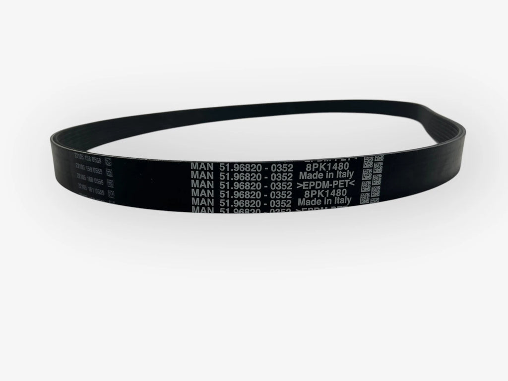 V-Ribbed Belt for MAN (51.96820-0352)