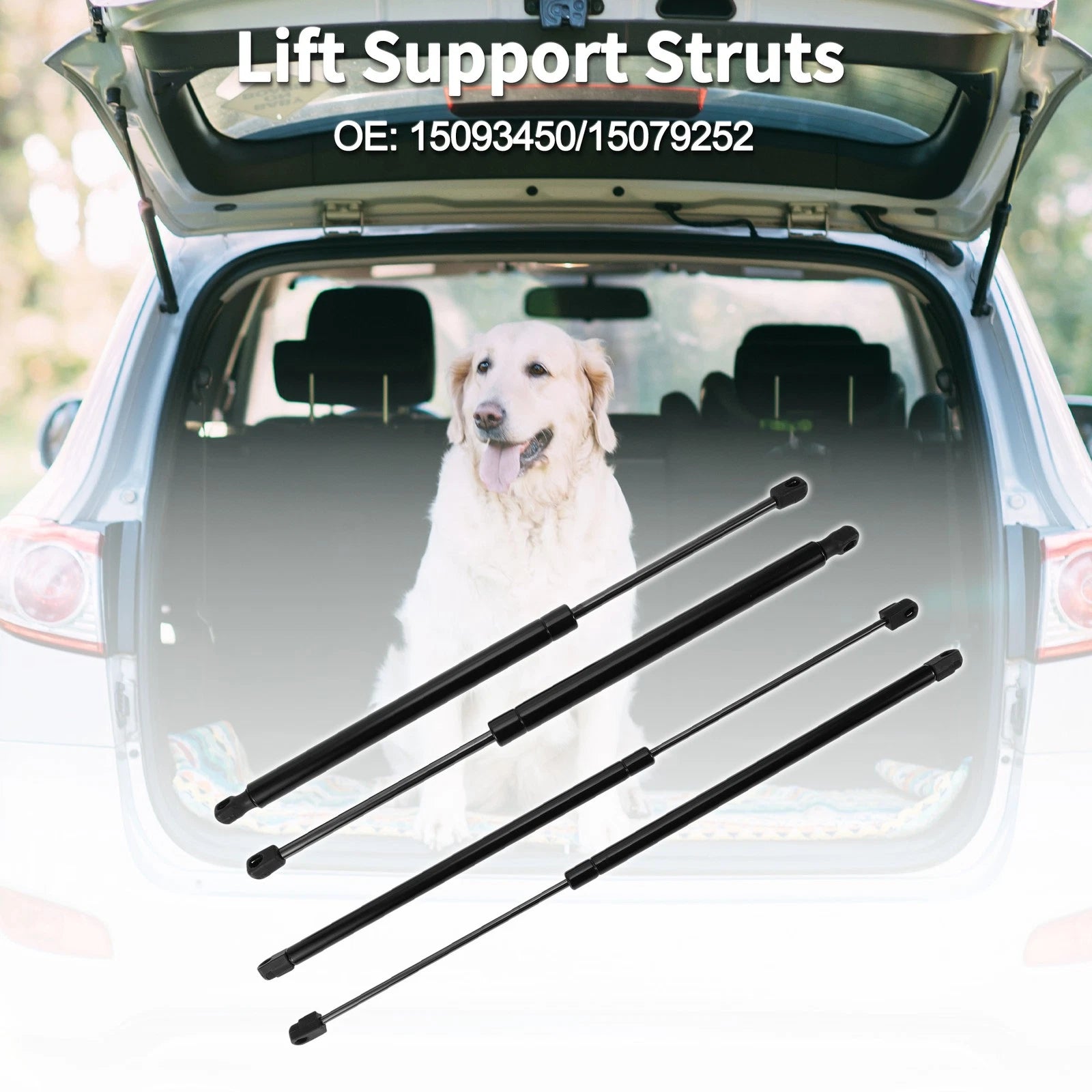 Rear Window Glass Lift Supports Struts Replacement for Buick Rainier (2004–2007)