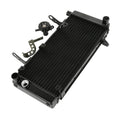 Radiator Cooler for Suzuki SV1000S (2003–2008)