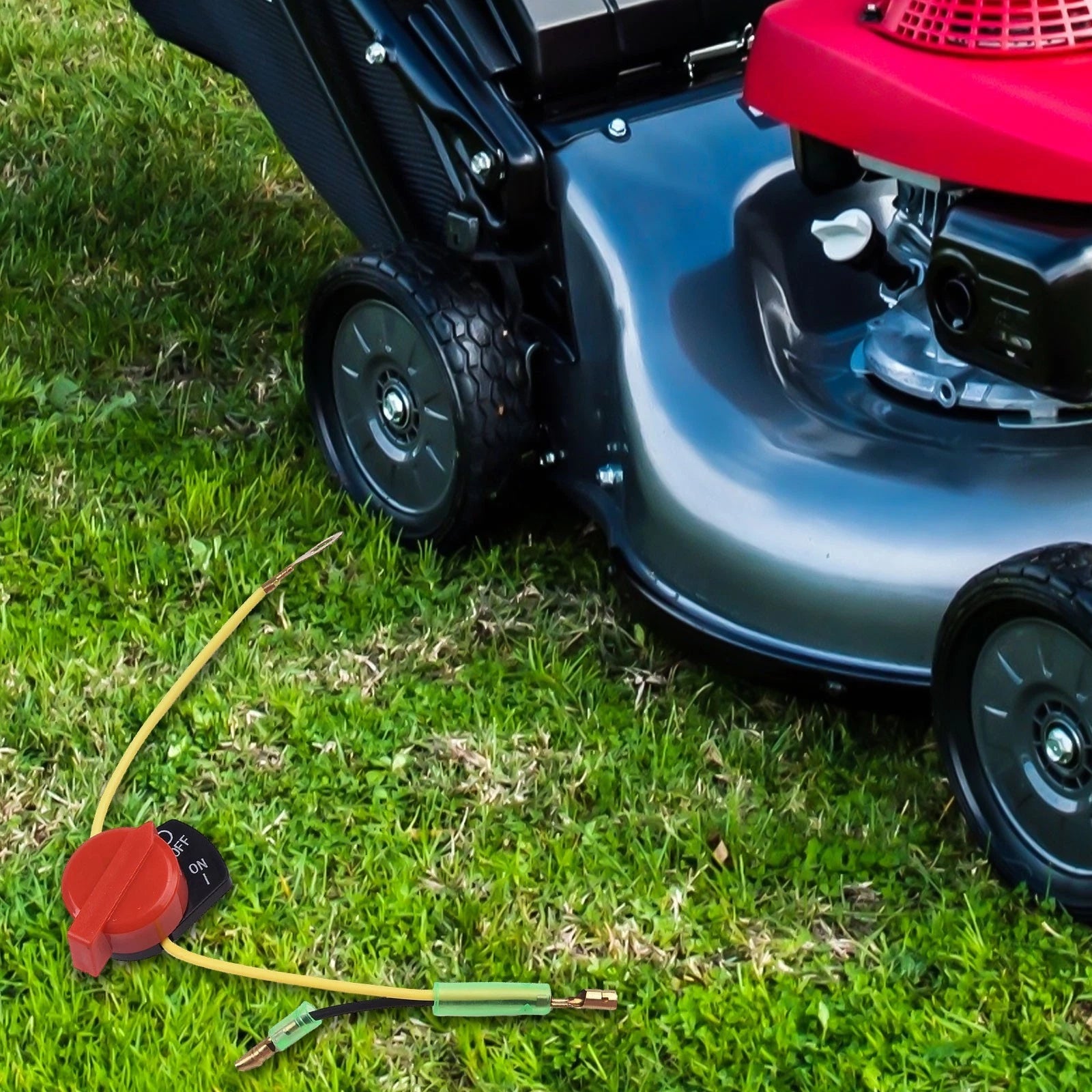 Switch for Home & Garden