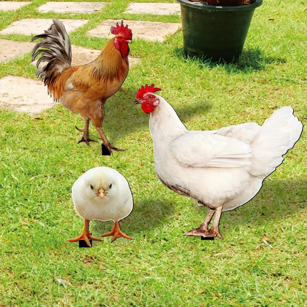 Acrylic Chicken Stake for Garden Decoration Installation