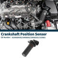 Crankshaft Position Sensor Replacement for Chevrolet Impala 3.4 (2000–2005)