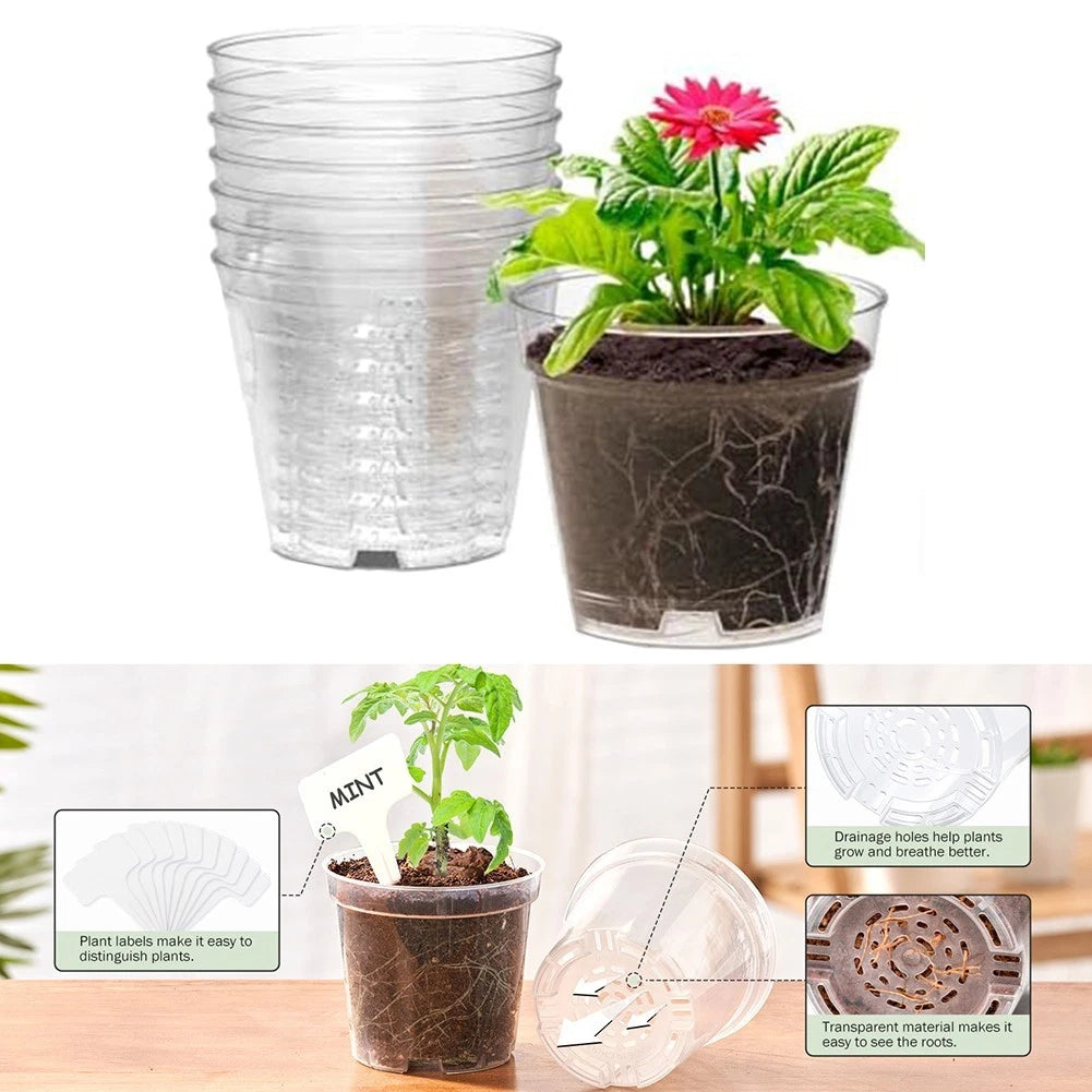 Transparent Pot Set of 8 with Drainage Holes for Plants
