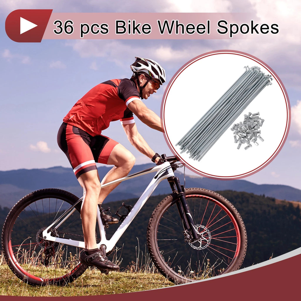 Bicycle Wheel Spokes Set 171mm 45 Steel Galvanized for 12G (2007–2017)