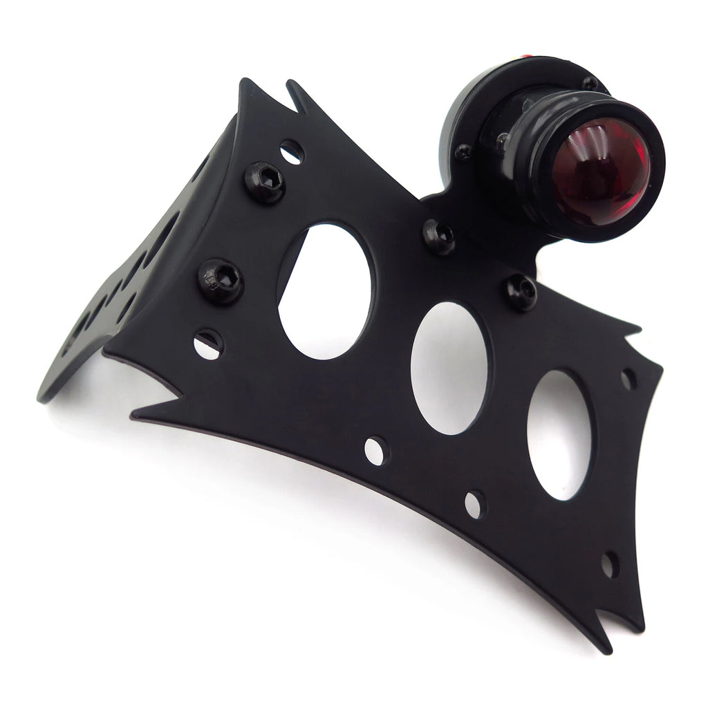 License Bracket & Tail Light for Harley Touring Bobber Chopper
