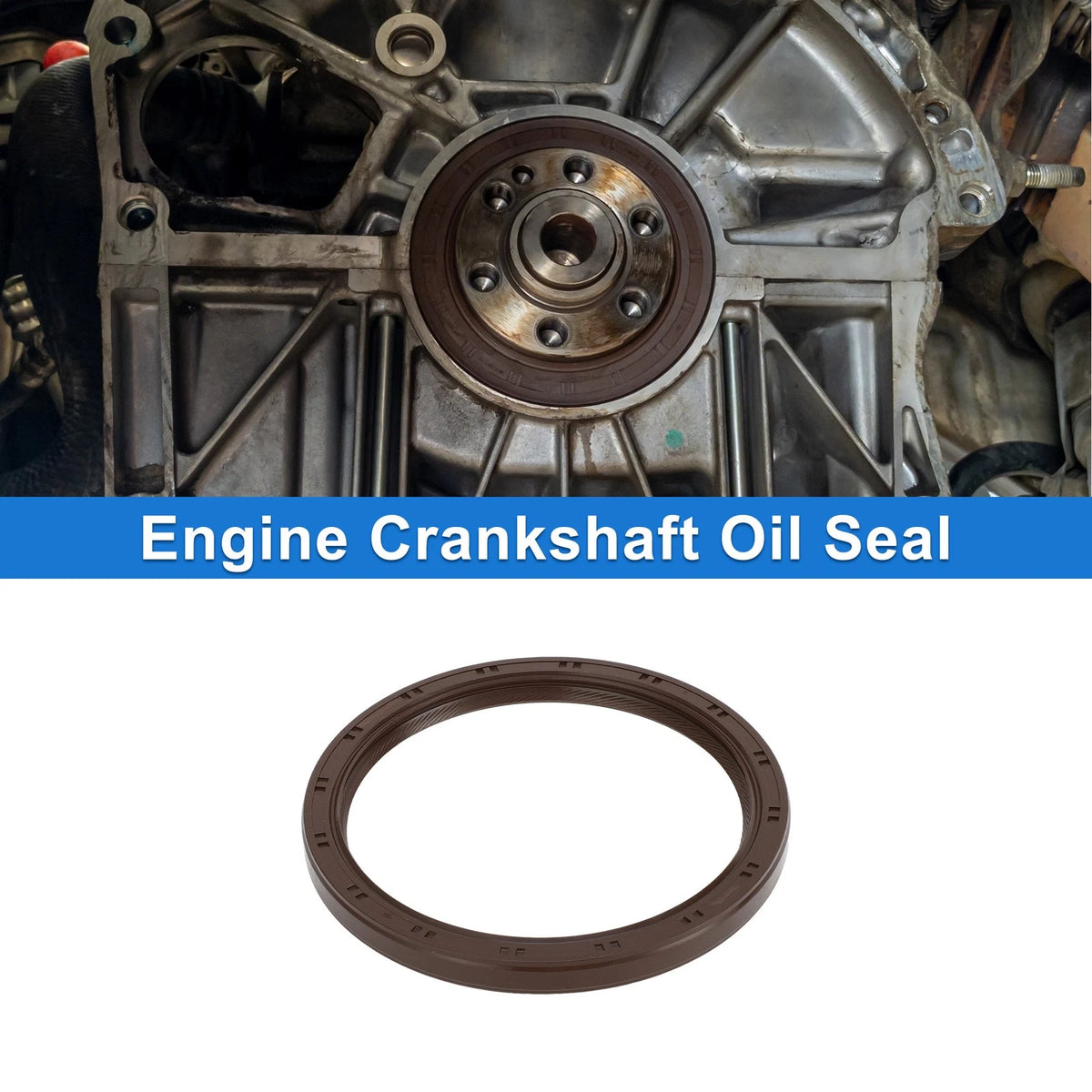 Rear Crankshaft Oil Seal Replacement for Toyota Camry Highlander (2005–2015)