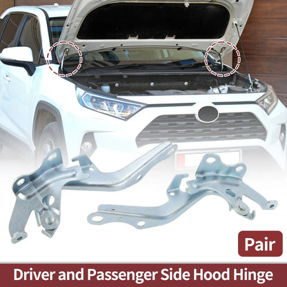 Hood Hinge Set Left Right for Toyota Sienna (2011–2020)