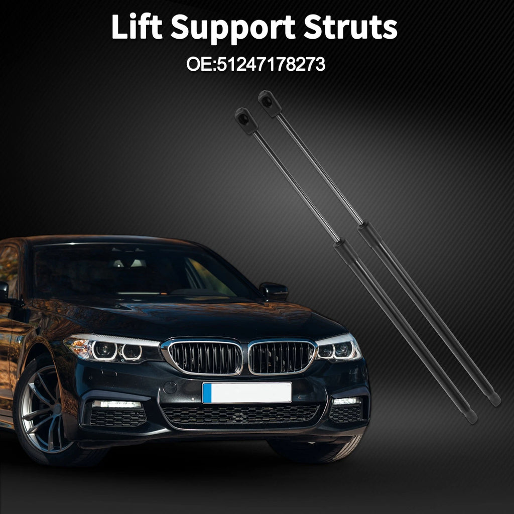 Tailgate Lift Supports Struts Replacement for BMW 5 Series E61 (2004–2010)