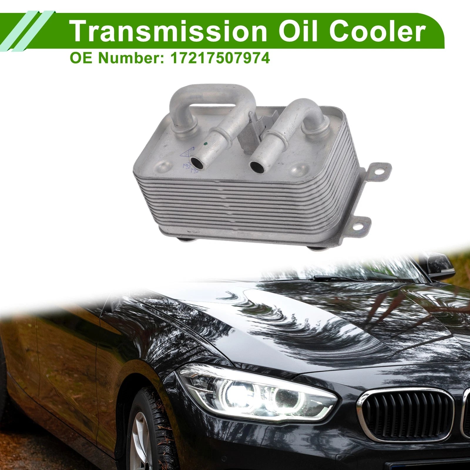 Engine Oil Cooler Replacement for BMW 525i 535i X3 (2001–2010)