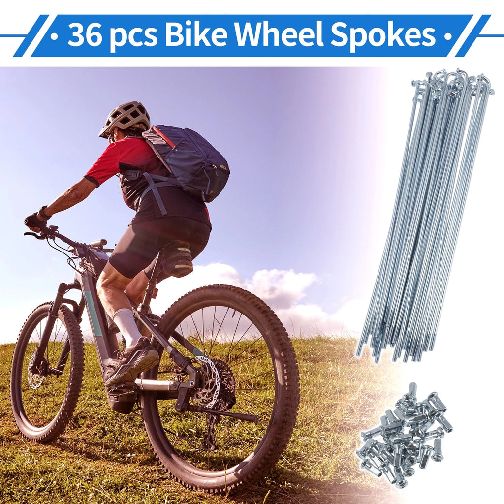 Bicycle Spokes Nipple Set 12G 170mm Carbon Steel Galvanized Universal (Universal)