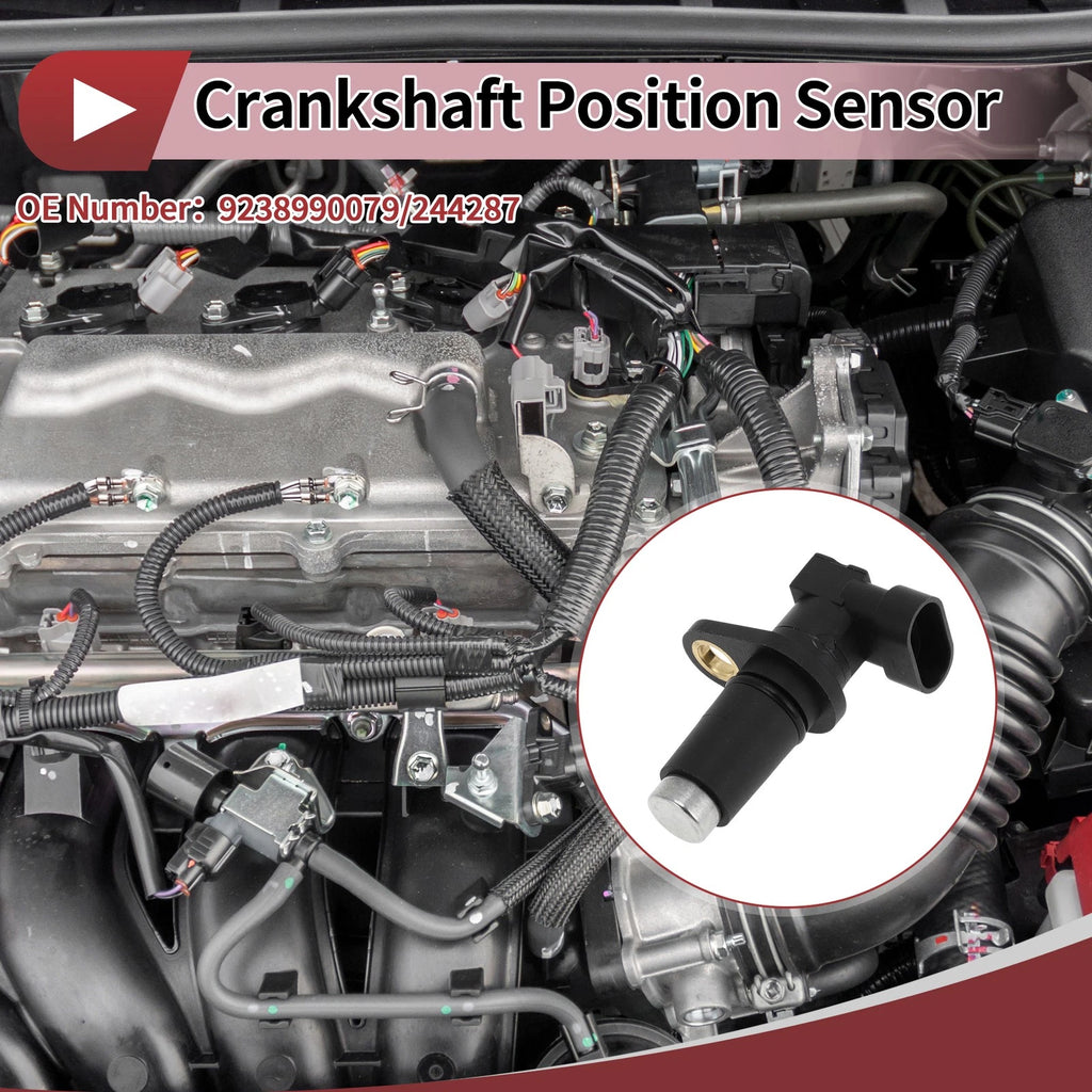 Crankshaft Position Sensor for Doosan Loader (No. 9238990079, 244287)