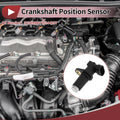 Crankshaft Position Sensor for Doosan Loader (No. 9238990079, 244287)