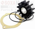 Minor Repair Kit for Sherwood Pump (G903MNK, G908MNK, G11MNK)