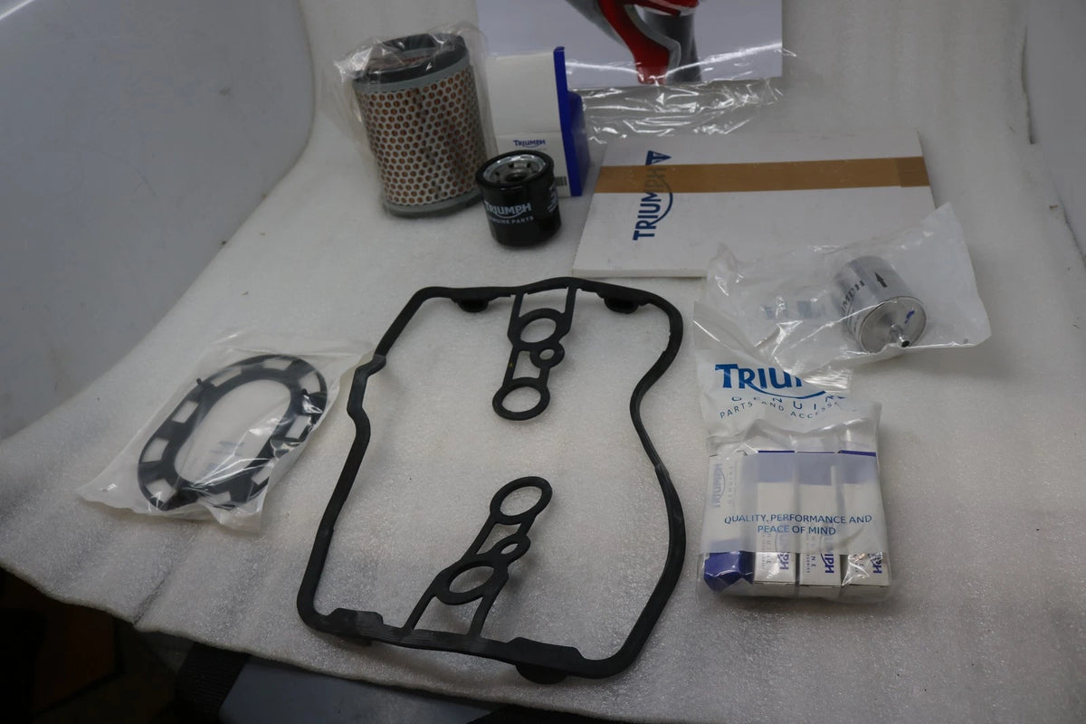 Engine Service Kit for Triumph Thunderbird 1600 1700 (2009–2020) T3990008