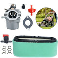 Filter and Carburetor Kit for