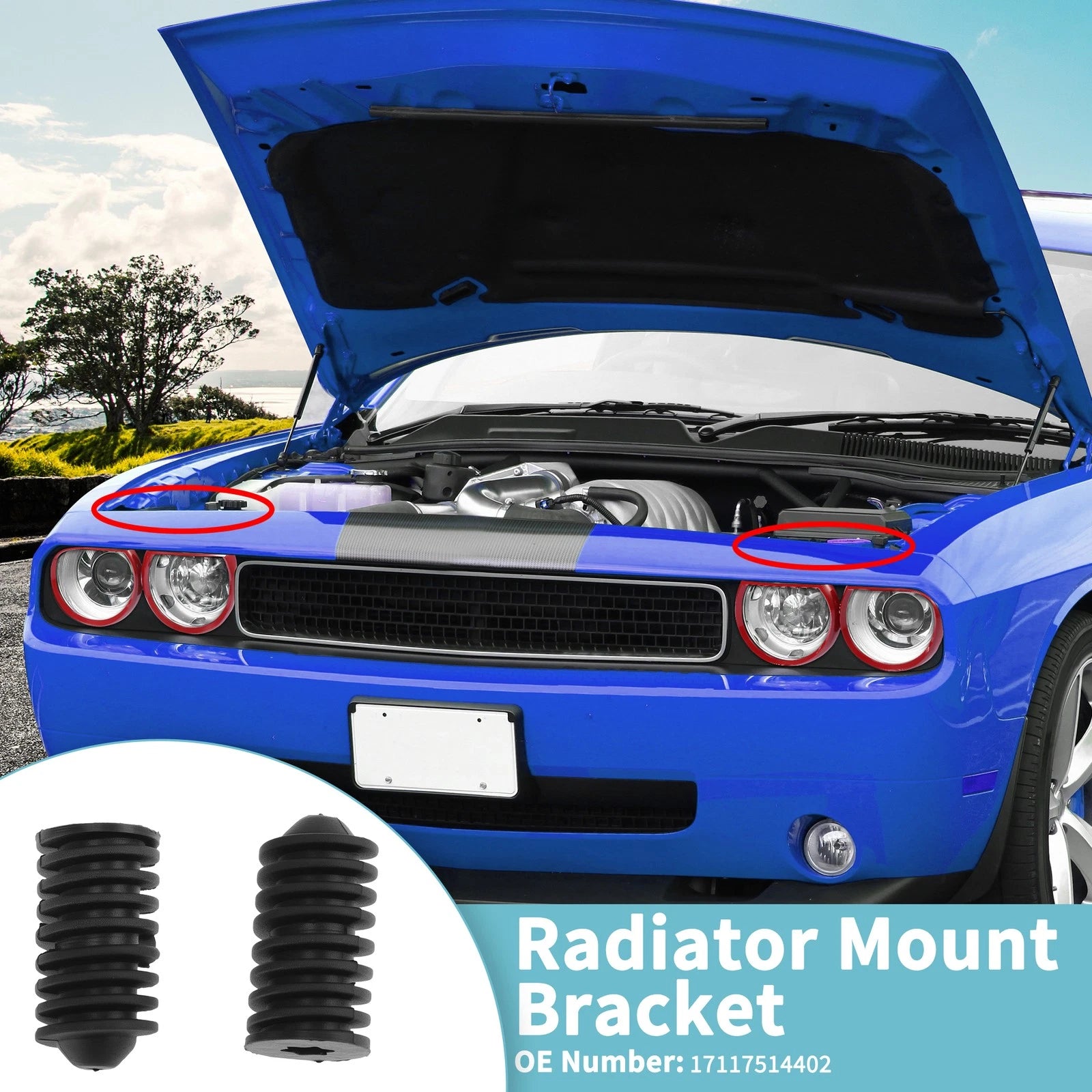 Radiator Mount Bracket Set Replacement for BMW 320i E46 (1997–2006)