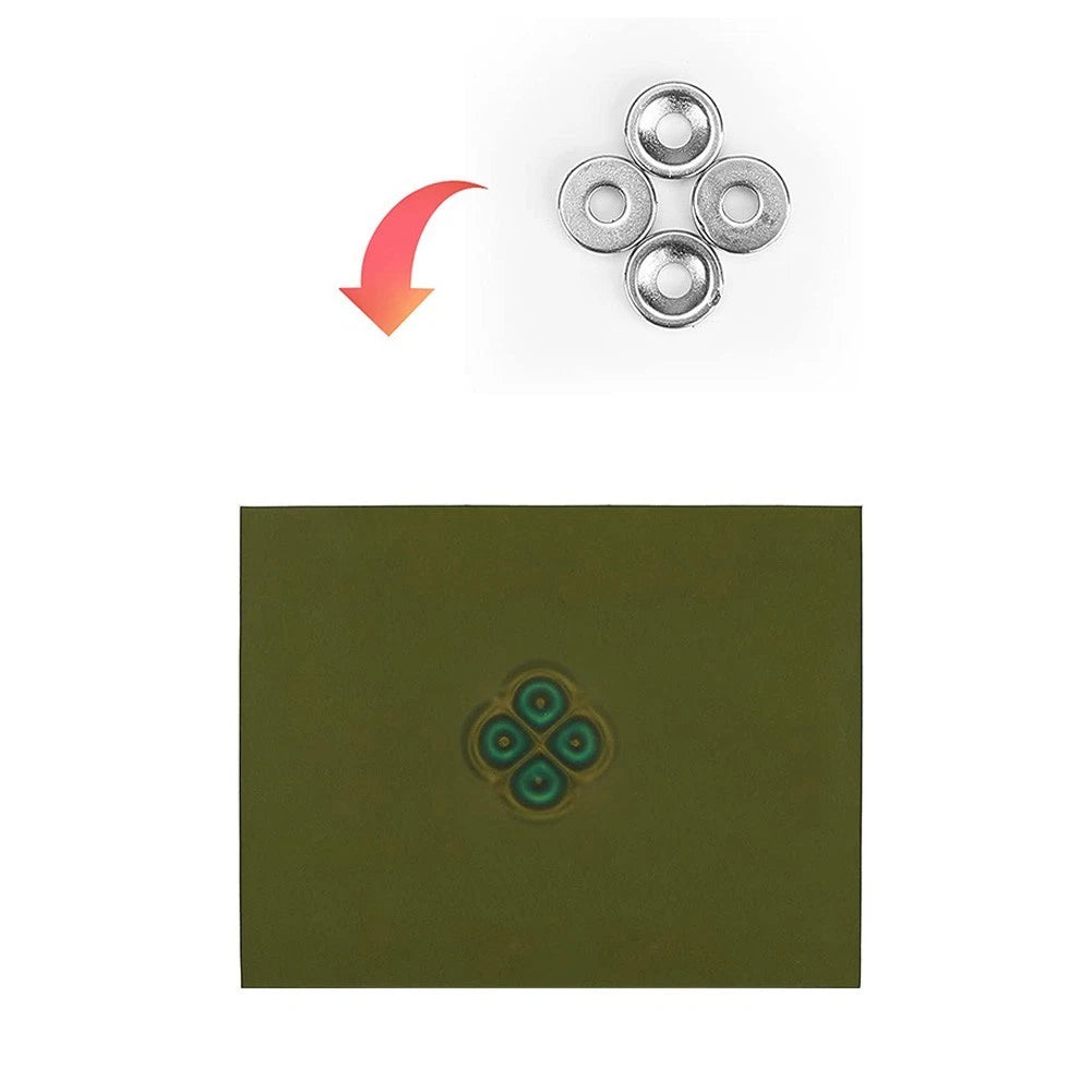Magnetic Field Viewer for Science Enthusiasts and Educators