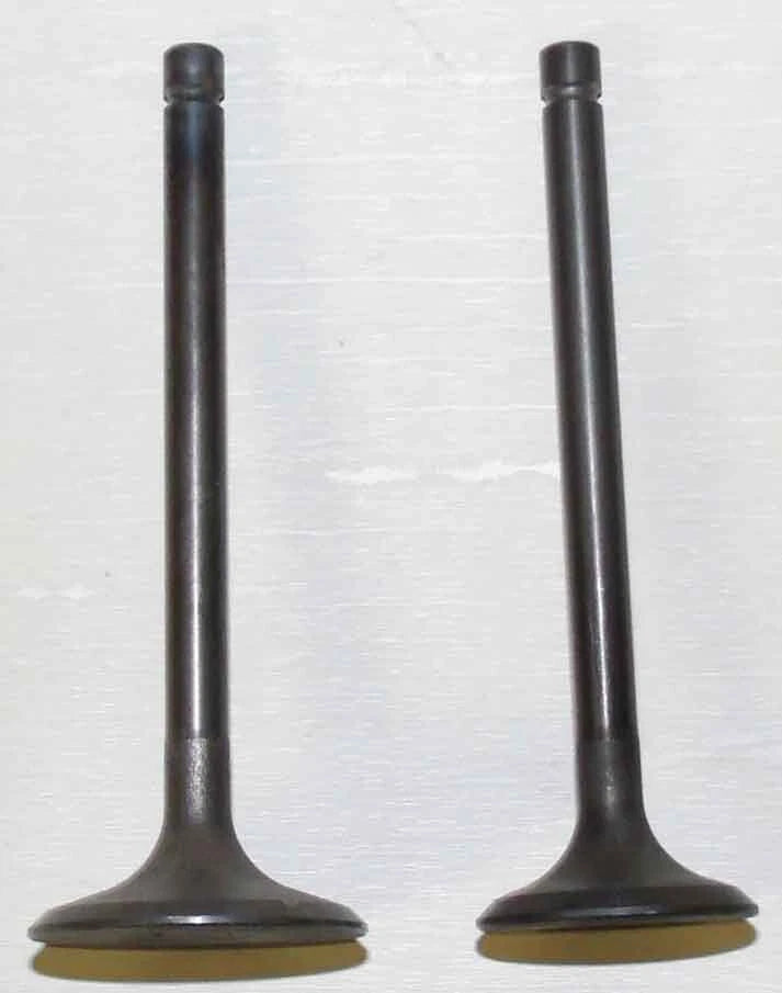 WSM Engine Valve Kit for Kawasaki 200-300 (1981–2004) - 017-101