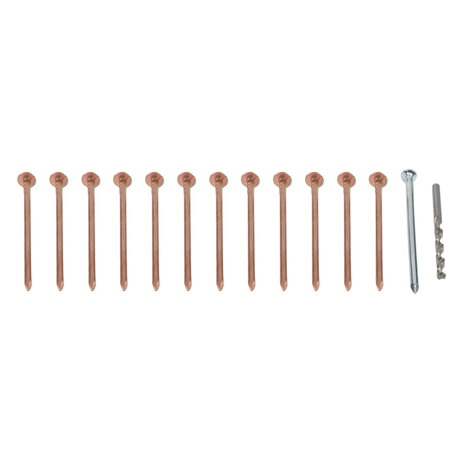 3 Inch Copper Nails for Tree Stump Removal (Effective Control)