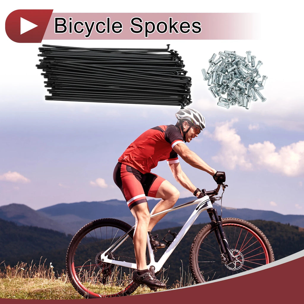 Bicycle Spokes Set 183mm Carbon Steel for 12G Wheel (183mm) (2005–2015)