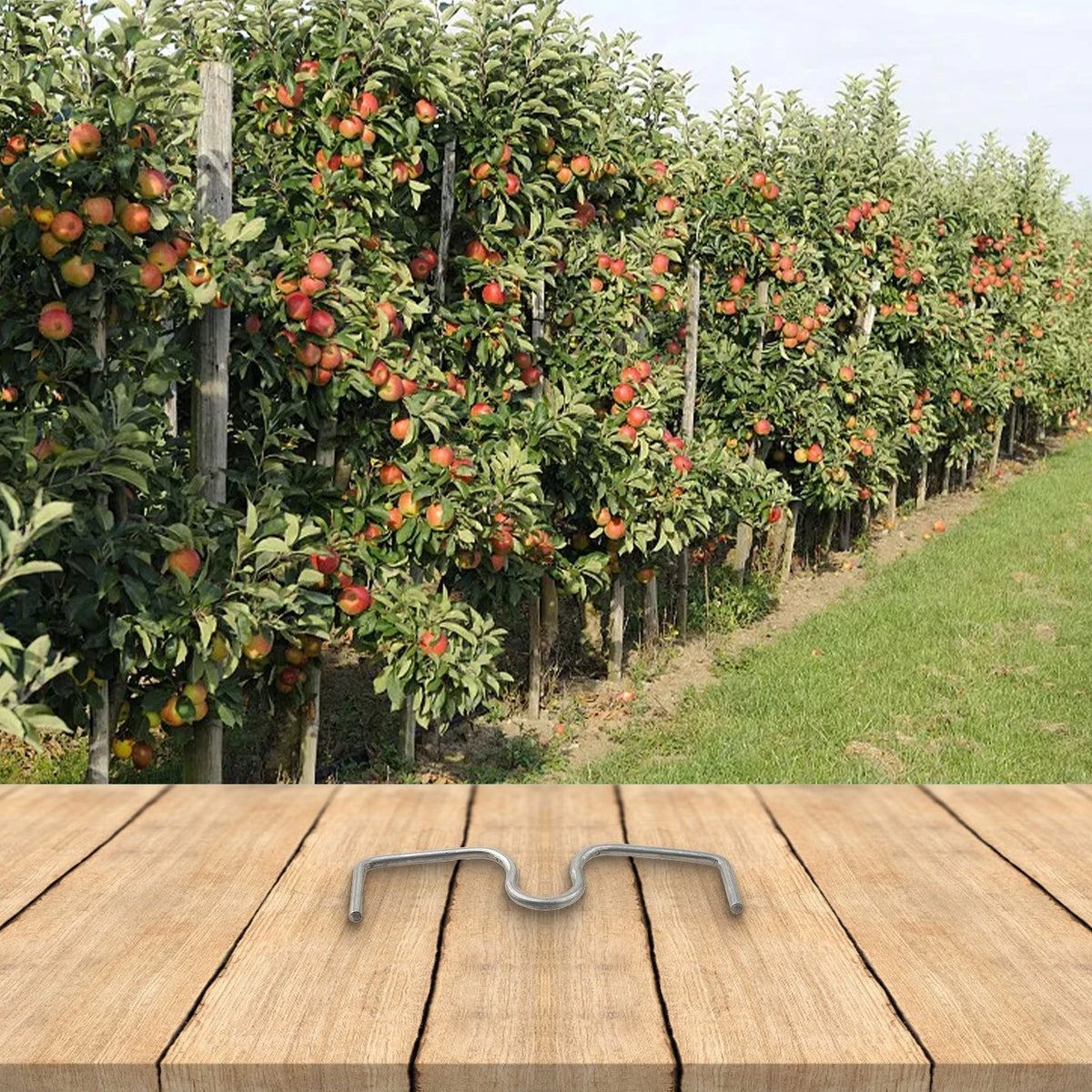 50pcs M Shaped Branch Splitters for Improved Air Circulation
