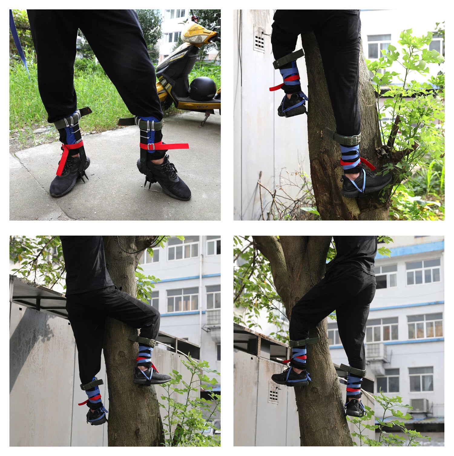 Tree Climbing Spike Set with Adjustable Belt and Lanyard