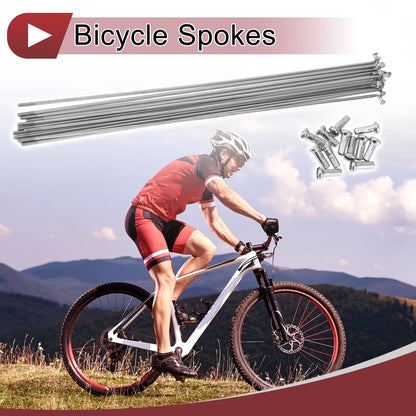 Bicycle Wheel Spokes Set 14G 227mm Stainless Steel for 28 in Wheels (2008–2018)