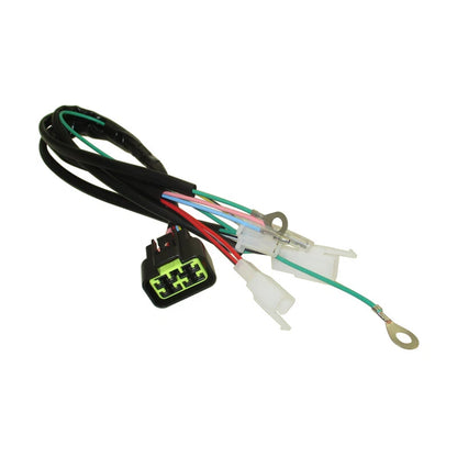 Digital Wiring Loom Harness for Lifan 150cc Engine (Pit Dirt Bikes)