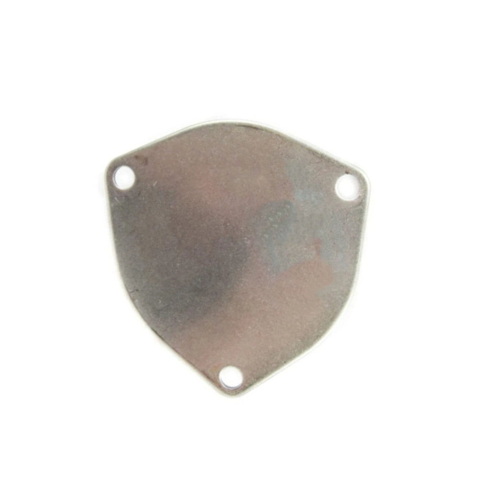 Water Pump Cover Plate for Sherwood P17XX Series Sea Water Pumps (Used)