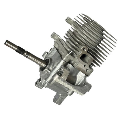 Engine Assembly for FS55 (Outdoor Use)