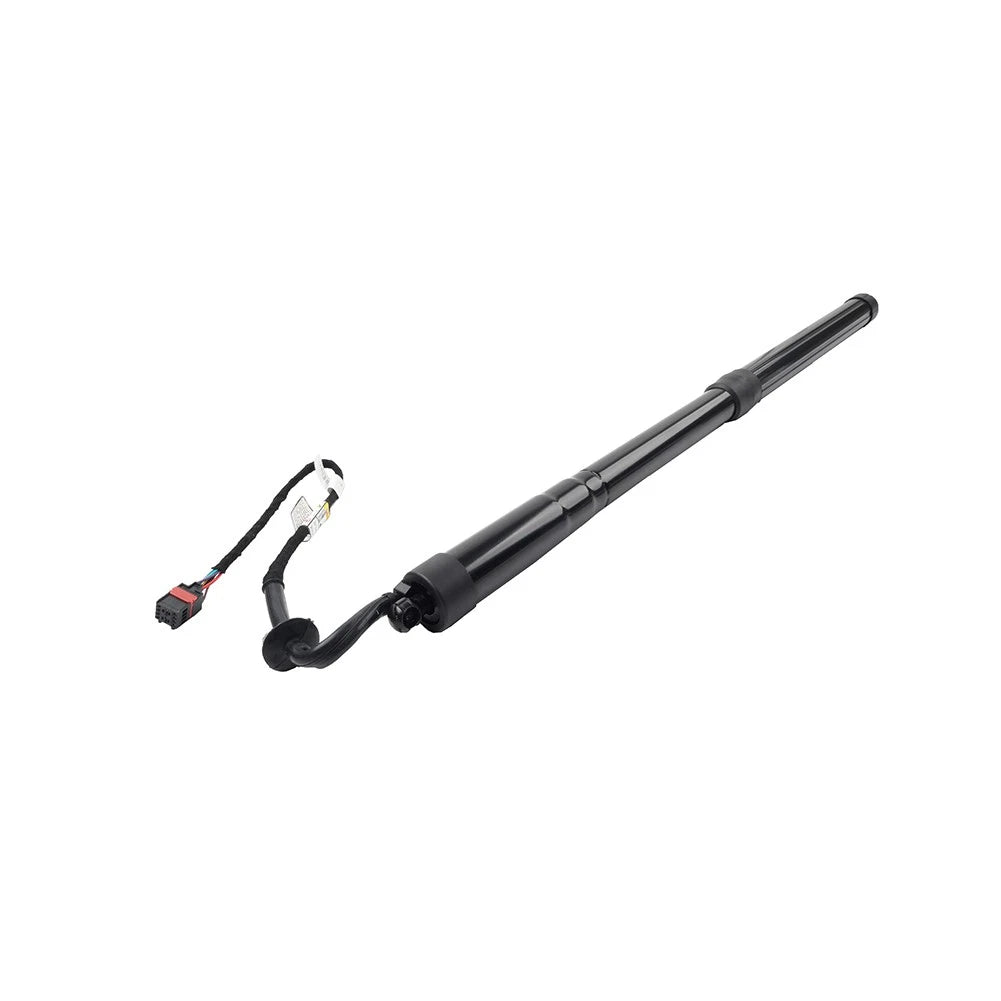 Trunk Lift Support for Land Rover Range Rover Sport (2005–2013)
