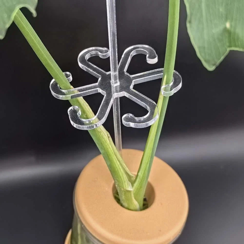 5pcs Clear Plant Support Stakes for Healthy Stem and Leaf Garden