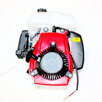 49cc 142F OHV Engine for Motorised Push Bike ESKY Scooter